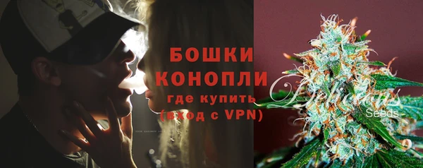 PSILOCYBIN Аркадак