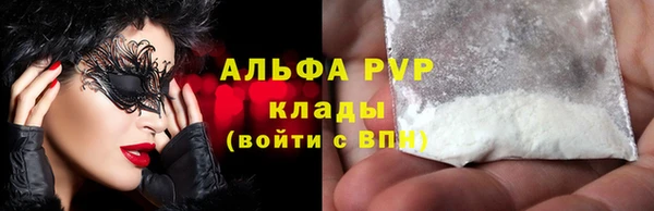 PSILOCYBIN Аркадак
